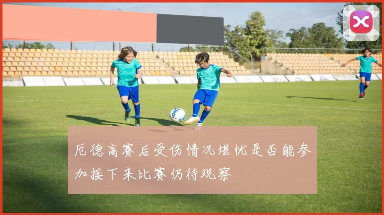 厄德高赛后受伤情况堪忧是否能参加接下来比赛仍待观察