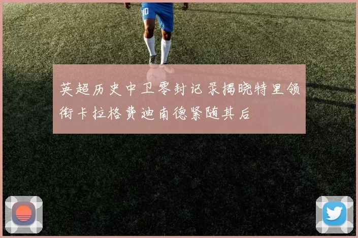 英超历史中卫零封记录揭晓特里领衔卡拉格费迪南德紧随其后
