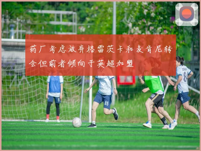 药厂考虑放弃格雷茨卡和麦肯尼转会但前者倾向于英超加盟