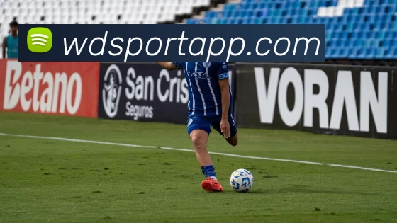 韦德体育APP平台生态图