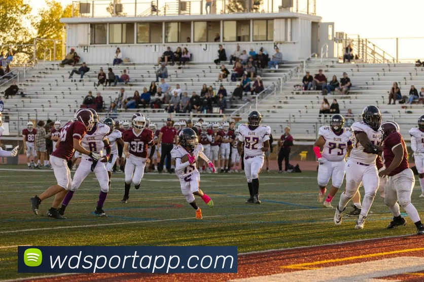 韦德体育APPAPP 封面图